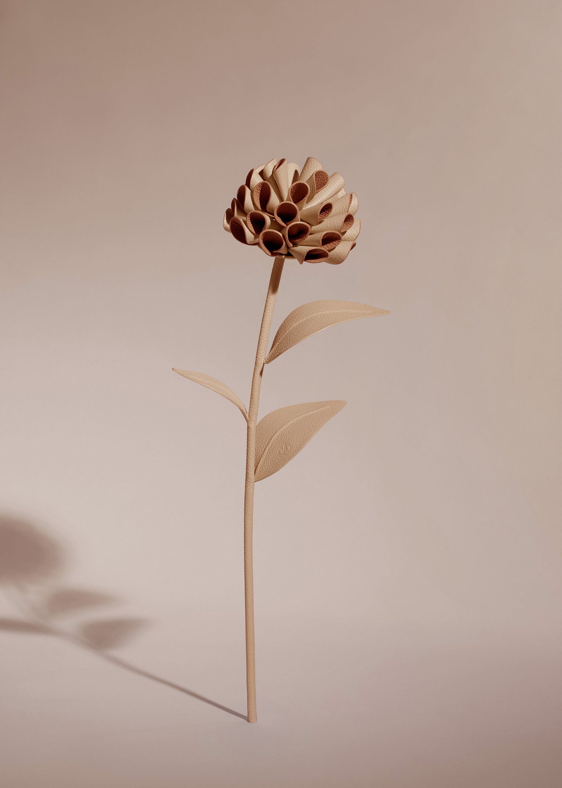 Dalium Flower - Duo Beige