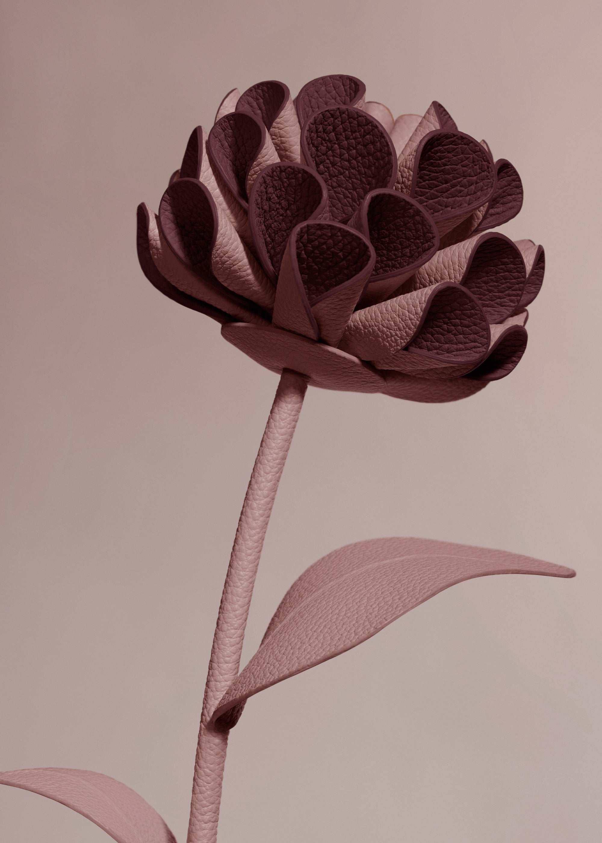Leather flowers – Polène NL