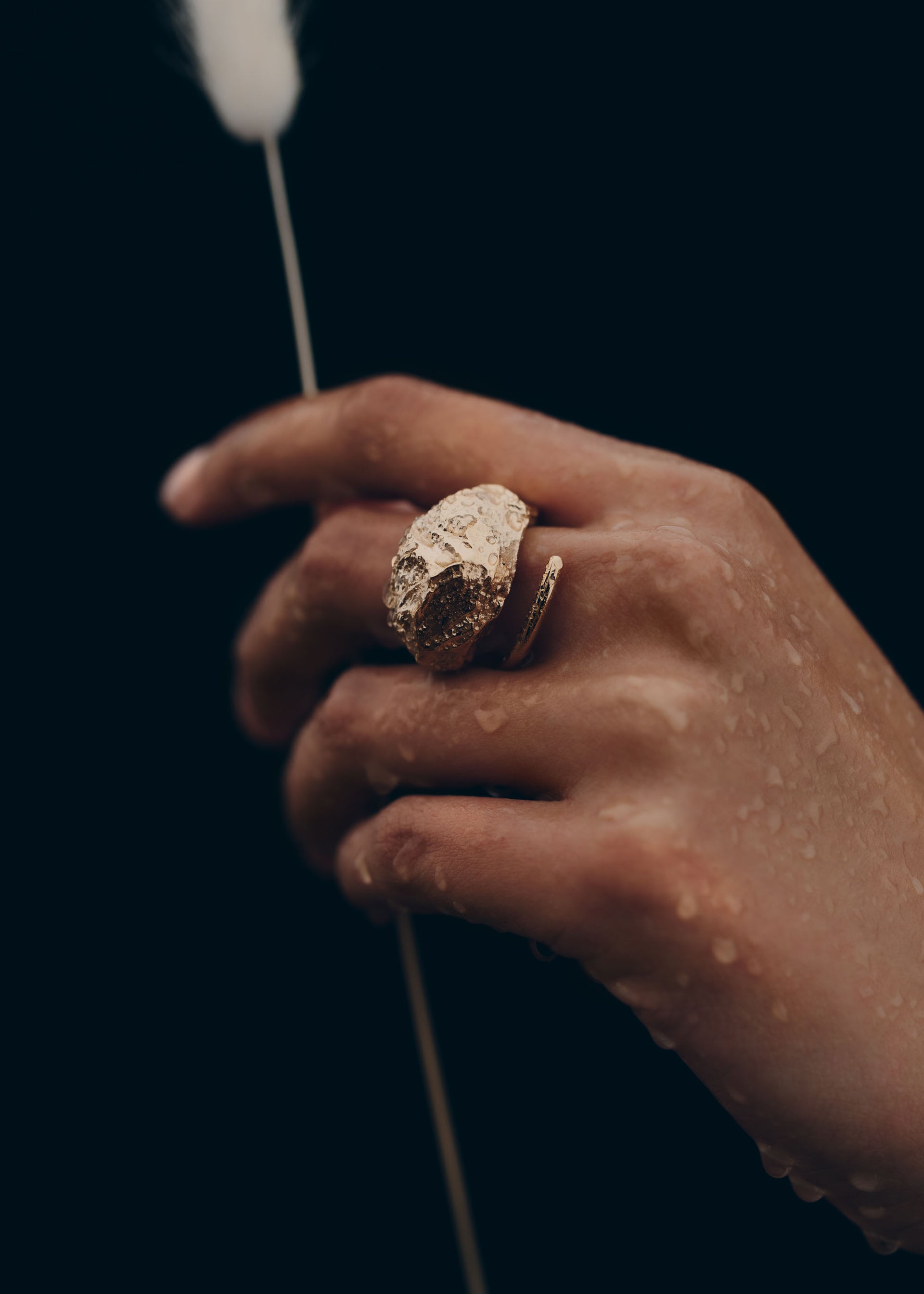 Eroz Ring - 24 carat gold gilded edition