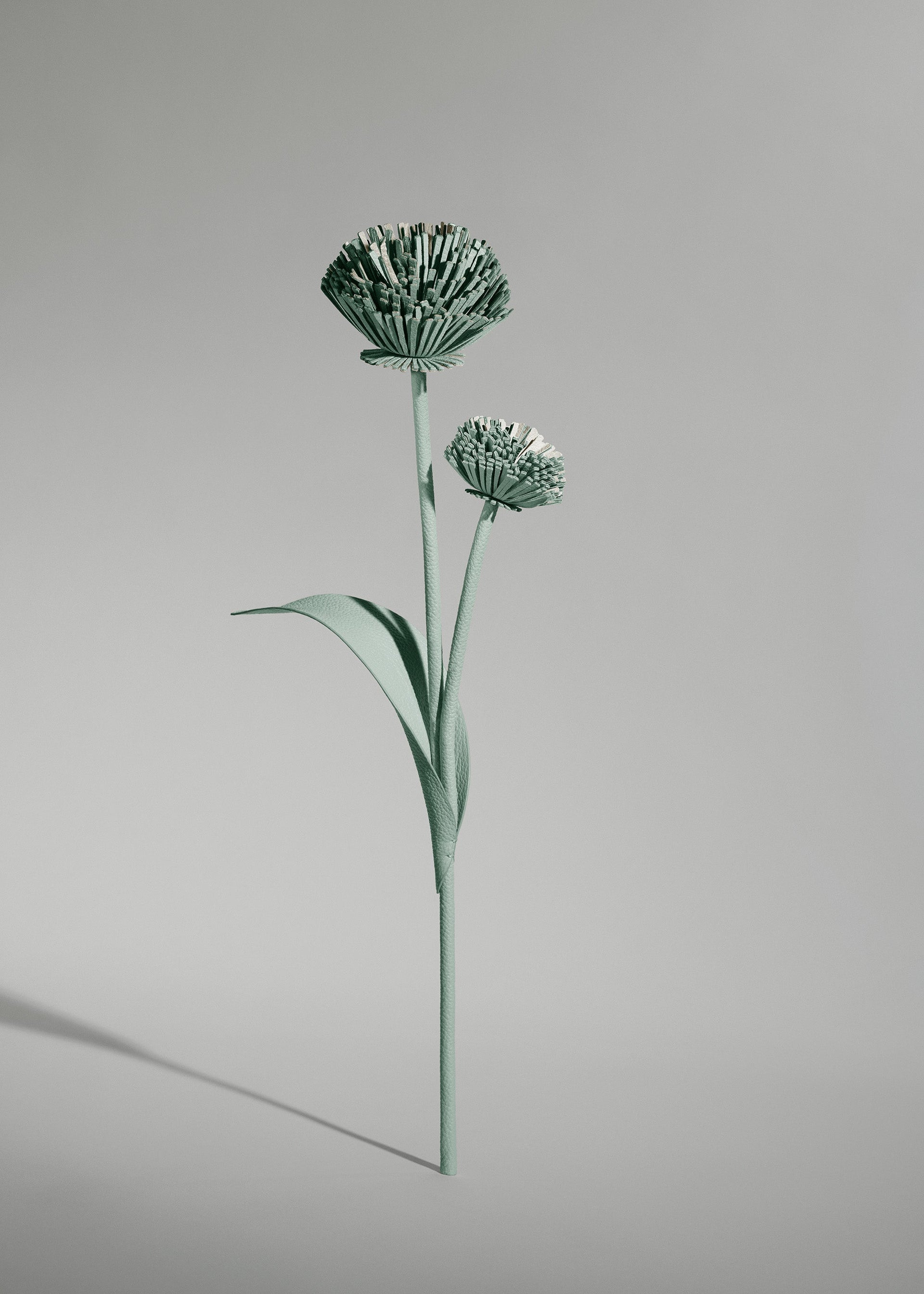 Tul Flower - Fresh Almond