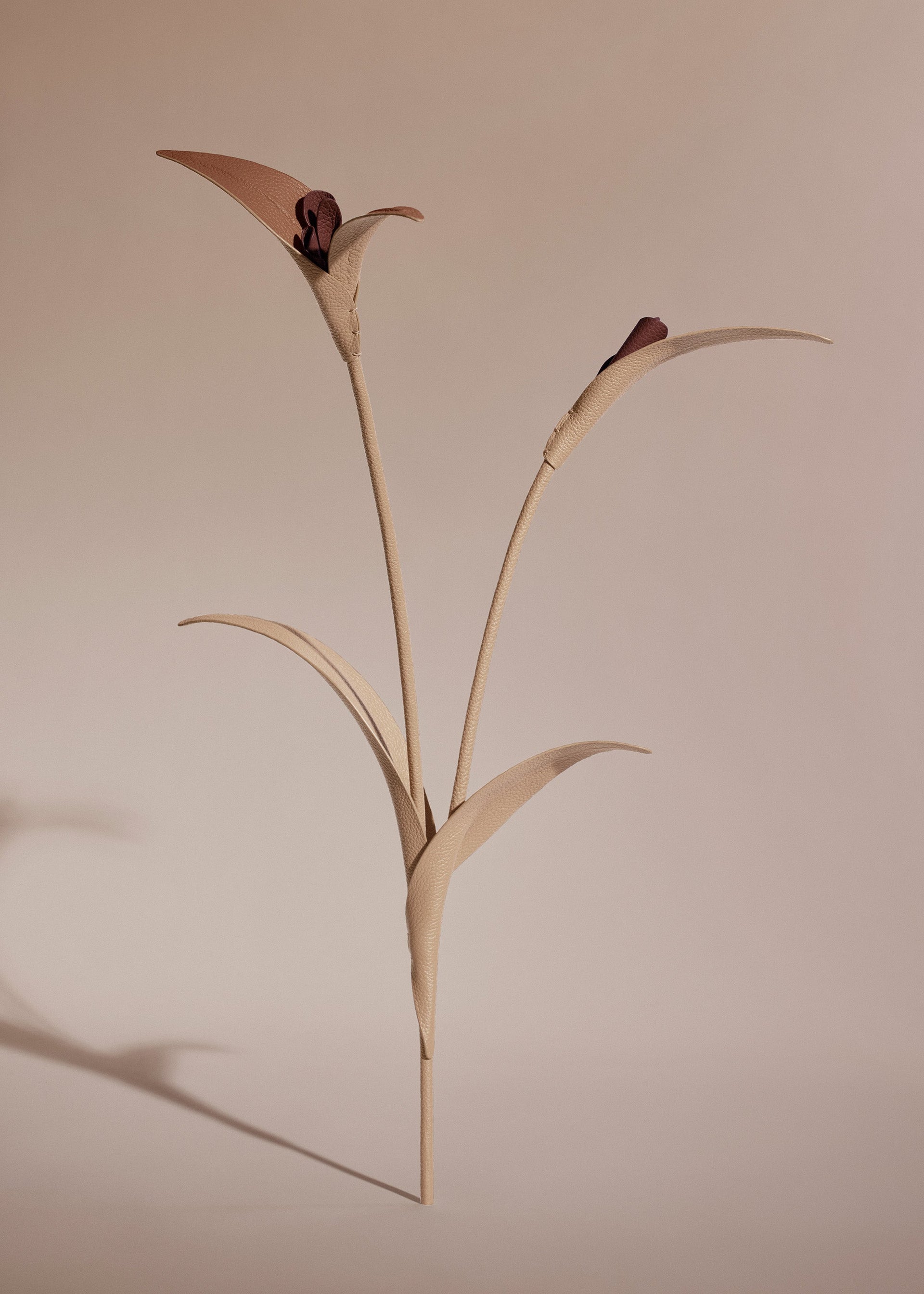 Touka Flower - Beige