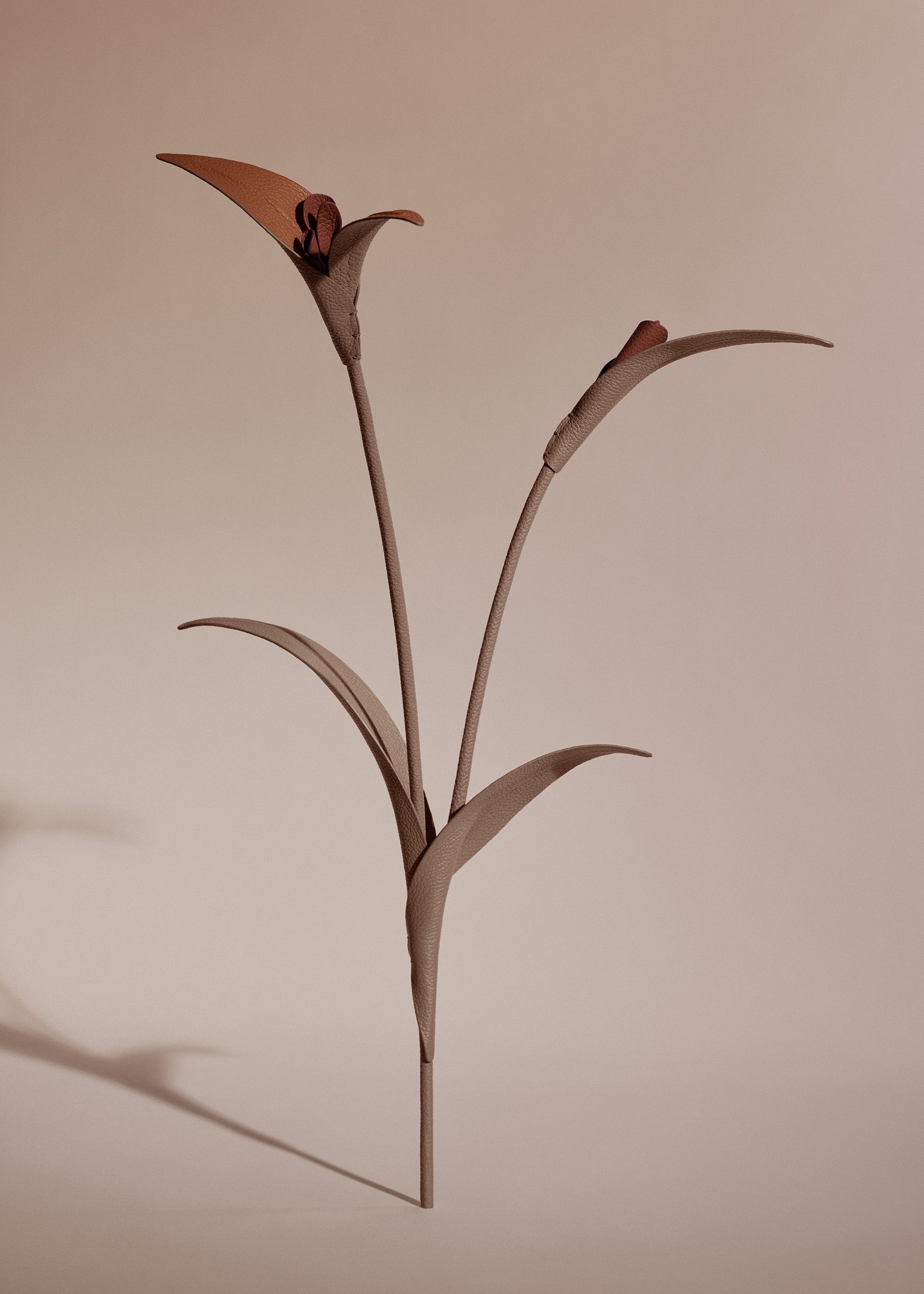 Touka Flower - Root