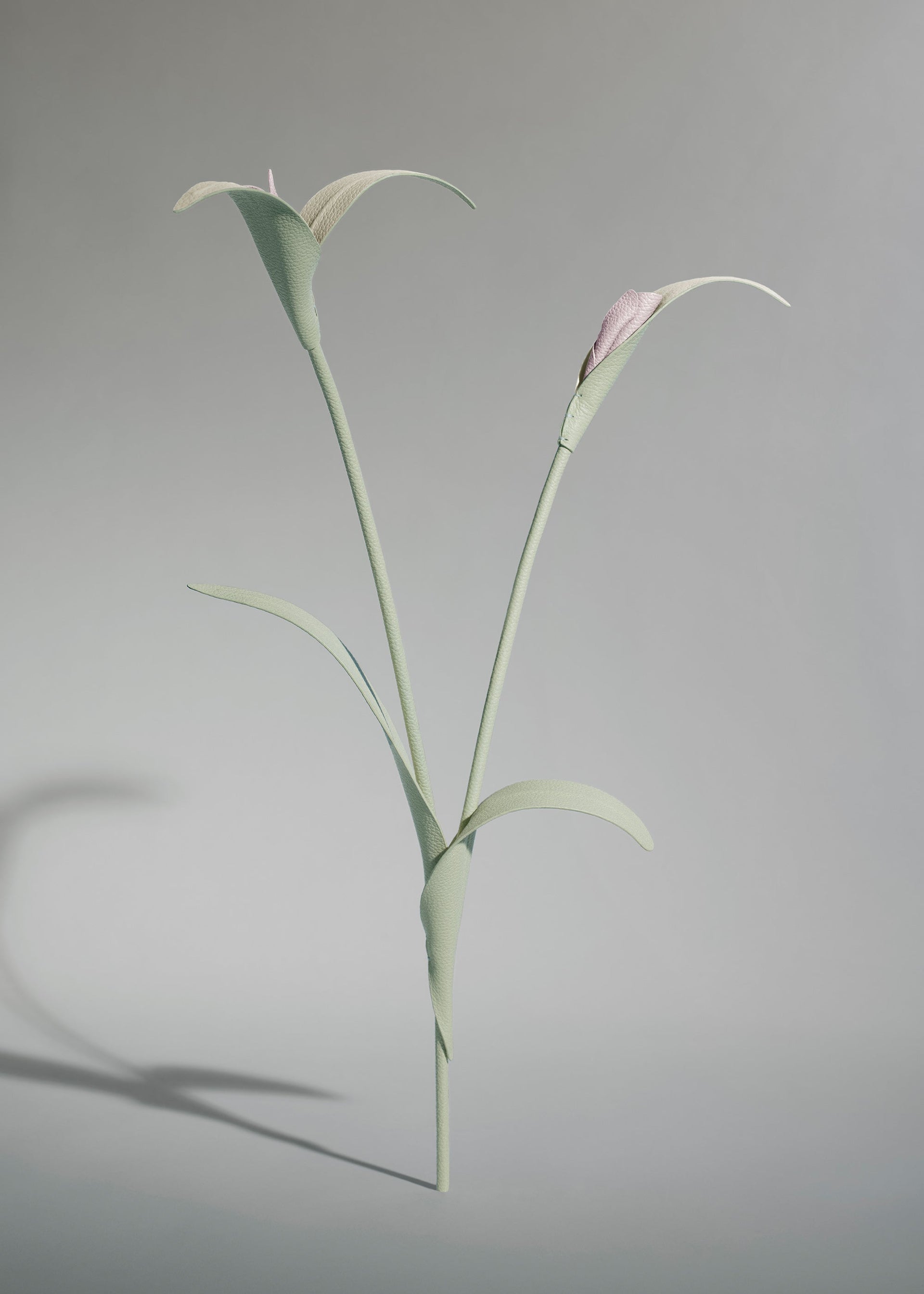 Touka Flower - Fresh Almond