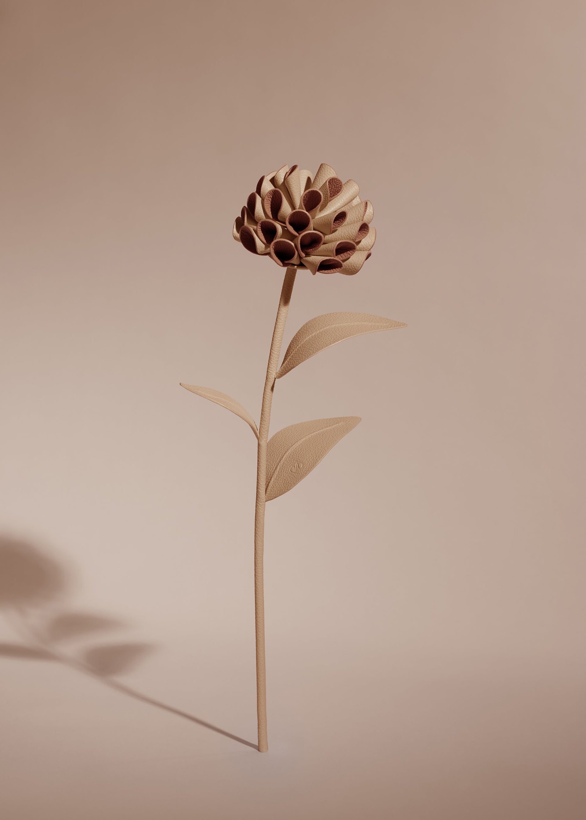 Dalium Flower - Beige